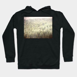 Pine Forest from Above Hoodie